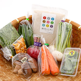 旬の雫石産野菜お任せセットと銀河の雫900g