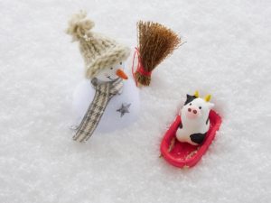 そり遊び