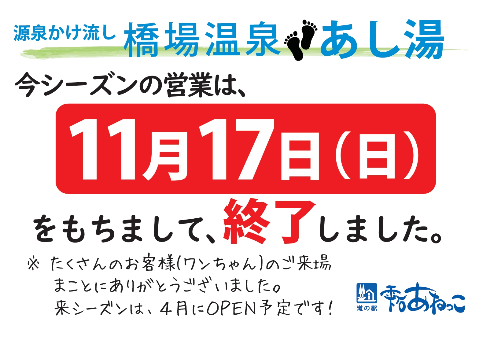 スクリーンショット_8-12-2024_143844_